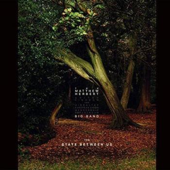 The State Between Us 1 LP