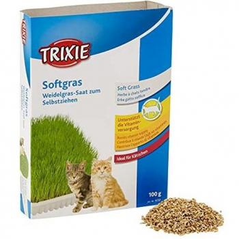 Trixie Bandeja Bio Hierba para Gatos, Aprox.100 g