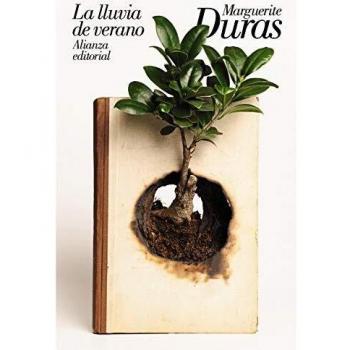 La lluvia de verano