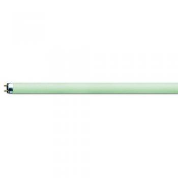 Osram T8 de colores - Lámpara fluorescente, G13L 36 W/66