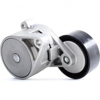 LUK 534010120 Tensioner
