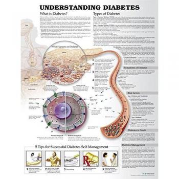 Understanding Diabetes - Tabla anatómica