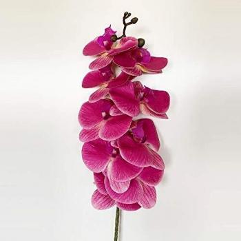 Wellhome Ramo de orquidea con Tacto Natural Color, Fucsia 96 Cm, Unitario