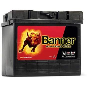 Batería de Coche Banner Starting Bull 12V 30Ah 300A Ca/Ca