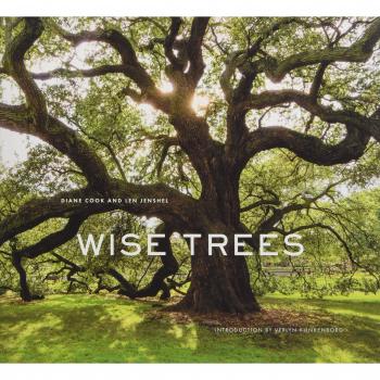 Wise Trees