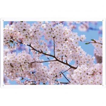 Metal cartel Cartel de chapa Hojalata sesión Flower Tin Sign Blossom Branch Sky Spring Mood 24301 Retro Vintage Pared Decoración by hamgaacaan