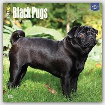 Black Pugs - Möpse, schwarz 2017 - 18-Monatskalender mit freier DogDays-App: Original BrownTrout-Kalender