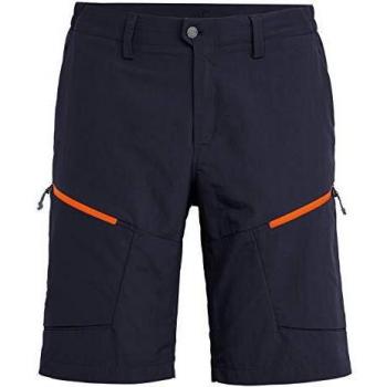 SALEWA Puez Dry M Shorts Pantalones Cortos, Hombre, Premium Navy/4570, 54/2X