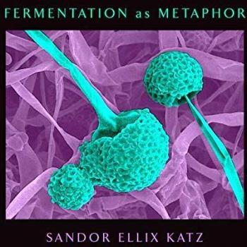Fermentation as Metaphor