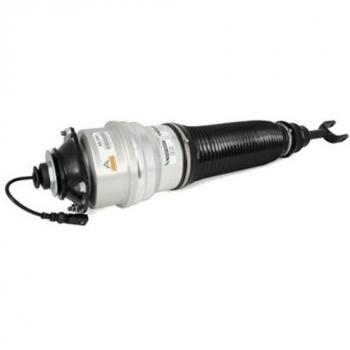 Arnott AS-2561 Suspension Strut Assembly