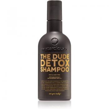 Waterclouds The Dude Daily Detox Shampoo for All Hair Types 250 ml