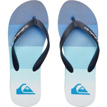 Chanclas de hombre Quiksilver Molokai Stripe azul blanco - 39
