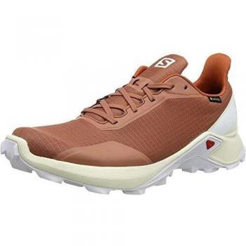 Salomon Alphacross GTX, Zapatillas de Trail Running para Hombre, Gris