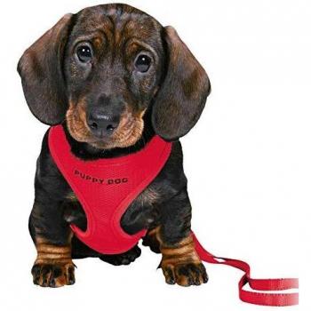 Trixie 15563 Set Cachorros Acolchado, 26-34 cm x 10 mm, 2M, Rojo