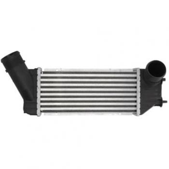 Intercooler THERMOTEC DAC001TT para C4 I (LC_) de Aluminio y Plástico