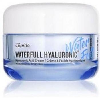JUMISO Waterfull Hyaluronic Acid Cream 50g