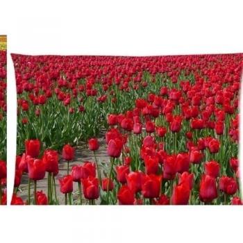 Rojo, diseño de tulipanes flores paisaje hermoso con cremallera fundas de almohada cubierta 20 x 30 pulgadas