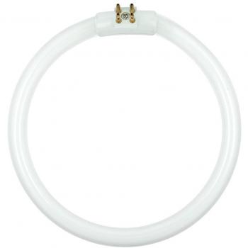 Fluorescente circular 22W/220V HRV1205