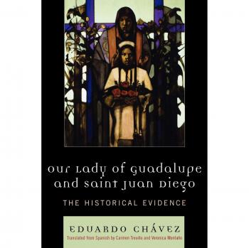 Our Lady of Guadalupe and Saint Juan Diego: Historical Evidence Book