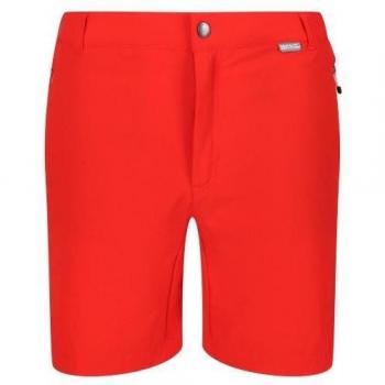 Pantalones Cortos Mountain II para Hombre Regatta - Shorts Regatta Masculino Mountain II