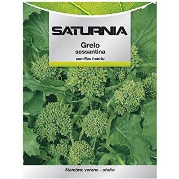 Brocoli Grelo Semillas para Huerto y Horticultura (10 gramos)
