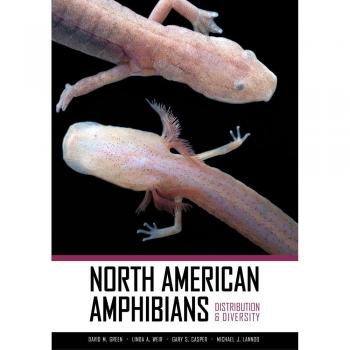 North American Amphibians: Distribution and Diversity