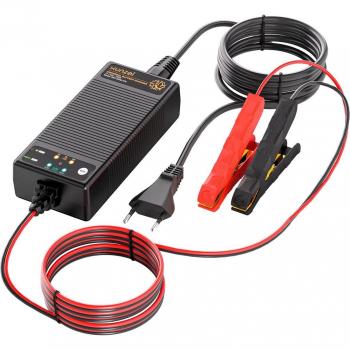 Xunzel - Cargador Batería DBC-LFPB 100W 12/24V, cargador universal para baterías de ácido-plomo y litio, compatible con voltajes de 12V y 24V