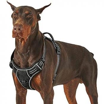 Lesure Arnés Perro Antitirones Extra Grande - Arnés Pecho Perro Ajustable y Transpirable con Líneas Reflectantes, Chaleco Perro Antiescape para Adiestramiento, Pechera Perro Cómodo, Negro, XL