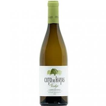 COTO DE HAYAS VERDEJO - Vino Blanco Denominación de Origen Campo de Borja - Variedad 100% Verdejo- Botella-0,75L