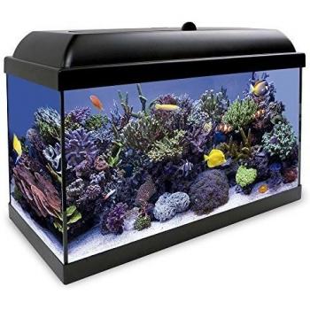 ICA KHS80N Kit Hydra 80 para Agua Salada