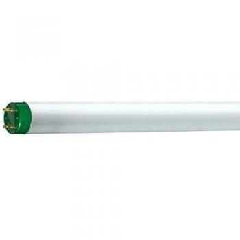 Philips 26857040 MASTER TL-D Eco Lámpara, 16W, 830