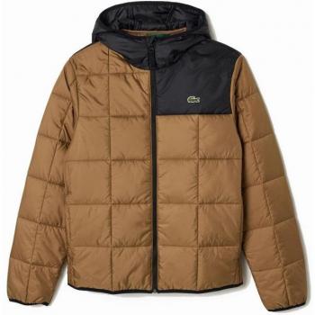 Cazadora Marrón Lacoste Blouson