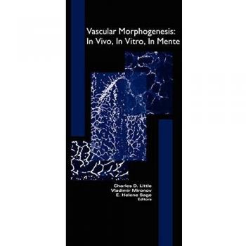 Vascular Morphogenesis: In Vivo, in Vitro, in Mente