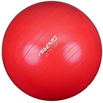 Avento 75 cm Fitness and Pilates Ball - Red and Pink Unisex