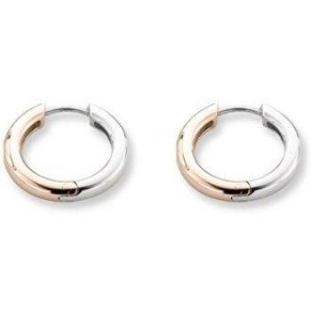 Ti Sento 7210SR - Pendientes de plata