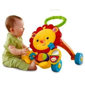 Fisher-Price Everything Baby Y9854 andador Multicolor - Andadores