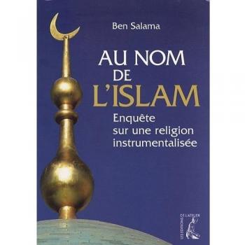 AU NOM DE L'ISLAM. ENQUETE SUR UNE RELIGION INSTRUMENTALISEE
