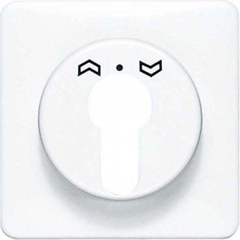 Placa central para interruptor llave blanco marfil 0712272507 Jung