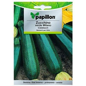 Semillas Calabacin Verde Oscuro