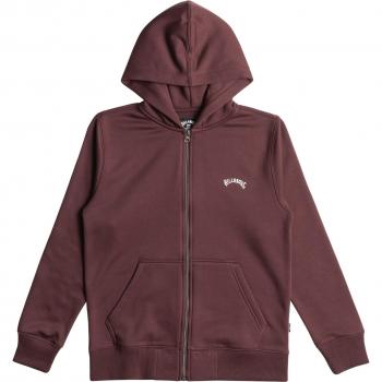 Sudadera con capucha Billabong Arch Full Zip roja oscura infantil - S