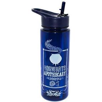 HARRY POTTER PP4540HP Botella Hogwarts, Adultos Unisex, Multicolor, 22 cm