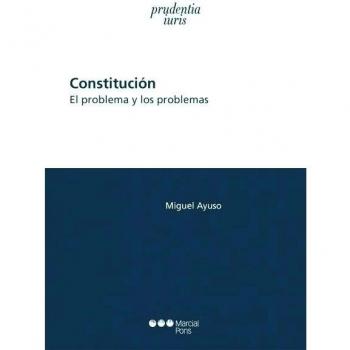 Constitución: El problema y los problemas
