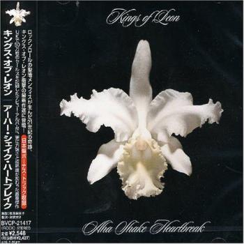Aha Shake Heartbreak - Kings Of Leon