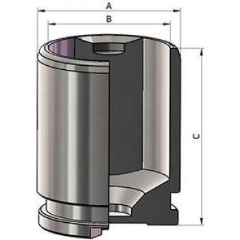 Émbolo de pinza del freno AUTOFREN SEINSA D025787, tipo: pistón para caliper de freno