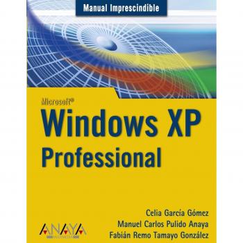Windows XP Professional