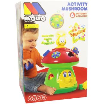 M MOLTO Seta de Actividades