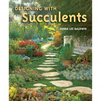 Succulent Design Guide: Creative Arrangements and Care Tips