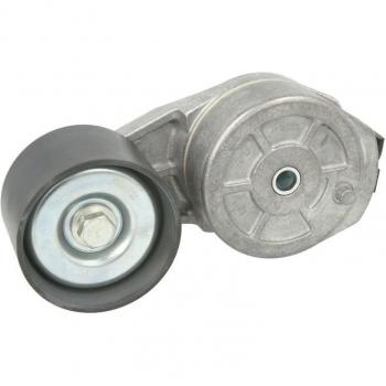DAYCO APV3196 Tensor de Correa Acanalada en V