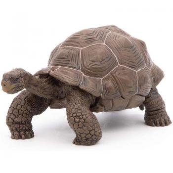 Papo 50161 Galapagos Tortoise Toy Figurine - Wild Animal Kingdom Collection for Ages 3 and Up