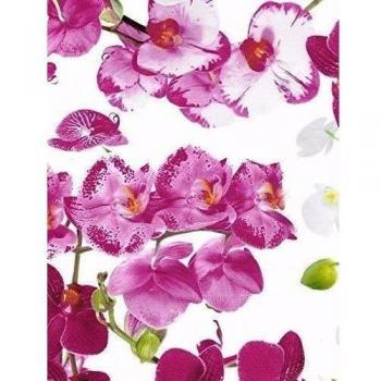 Mantel Hule Por Metro Orquídeas B8990-01 Grande seleccionable en ovalado rectangular redondo - Más Colores, 130x170 cm oval